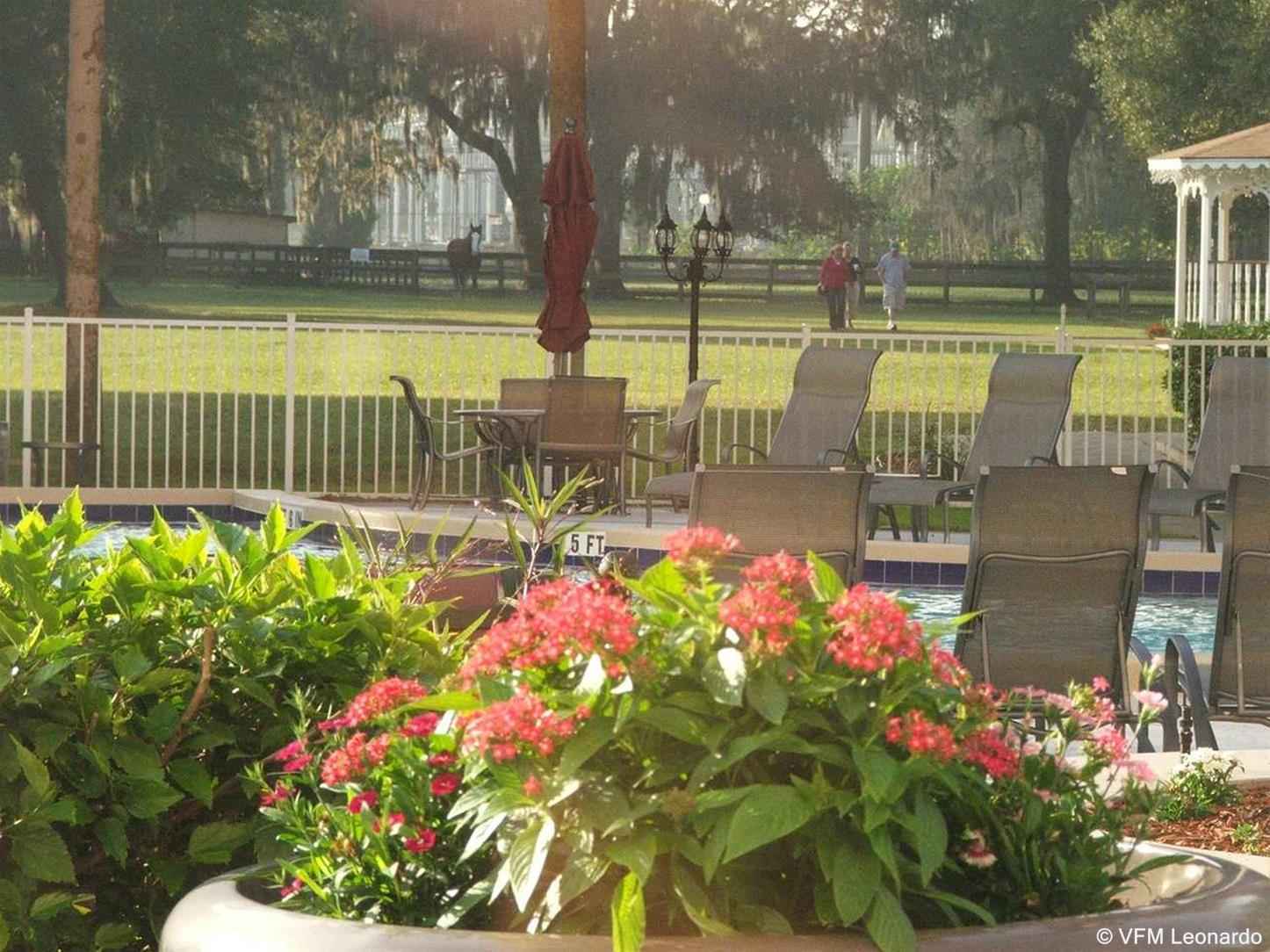 Hotel Hilton Ocala Servizi foto